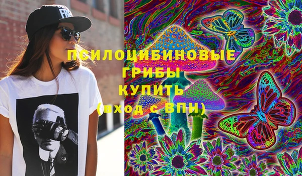 гидра Балахна